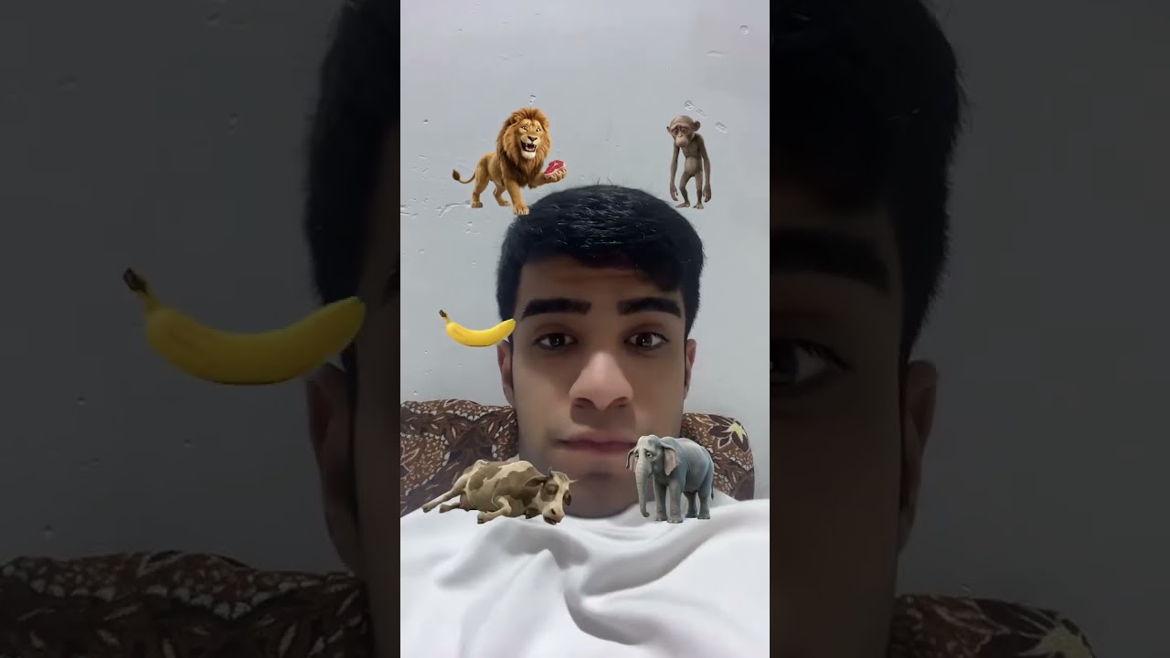 جا البقره شتاكل😂❤️