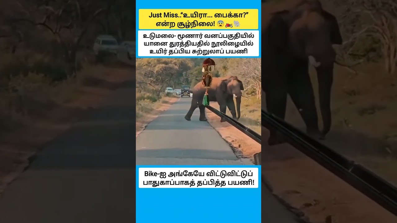 “உயிரா... பைக்கா?” என்ற சூழ்நிலை! 😨🏍️🐘 #shorts