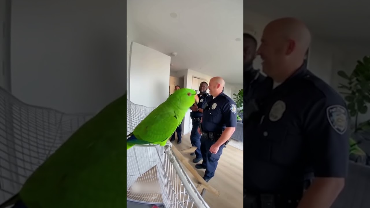The Parrot Who Knew His Rights