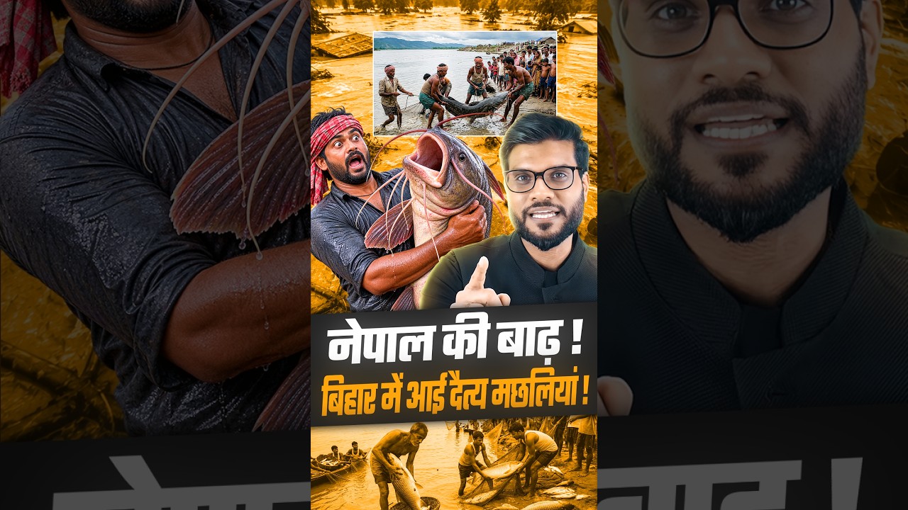 नेपाल की बाढ़ ! बिहार में आई दैत्य मछलियां ! #shorts #nepal #youtubeshorts by Dr. #arvindarora