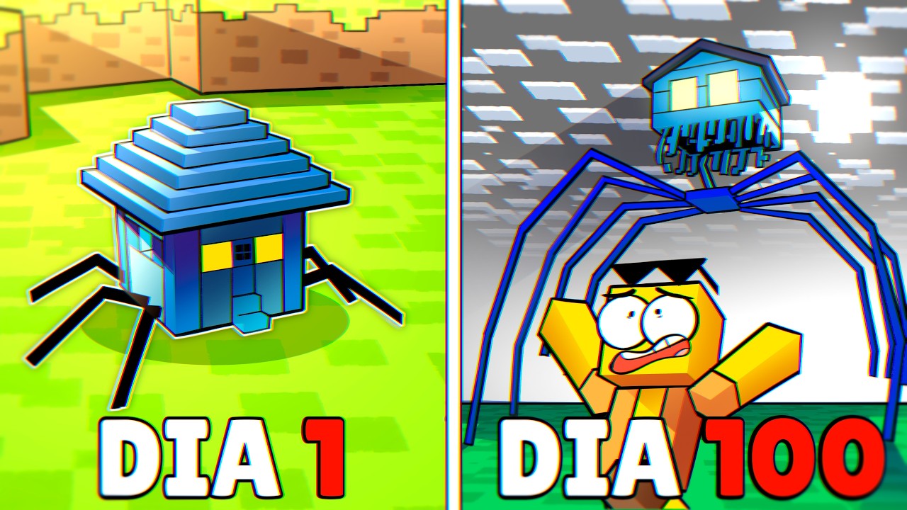 100 Dias sendo o HouseHEAD!