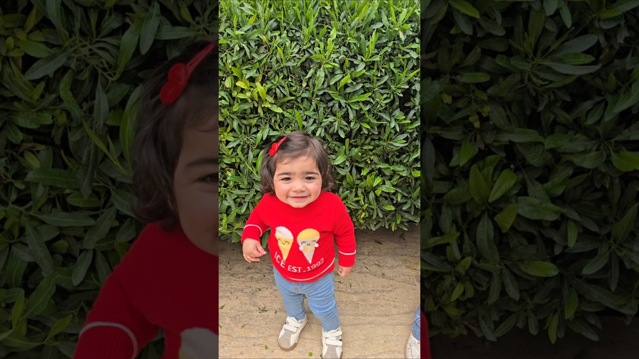 مين أحلى أغنية !!!