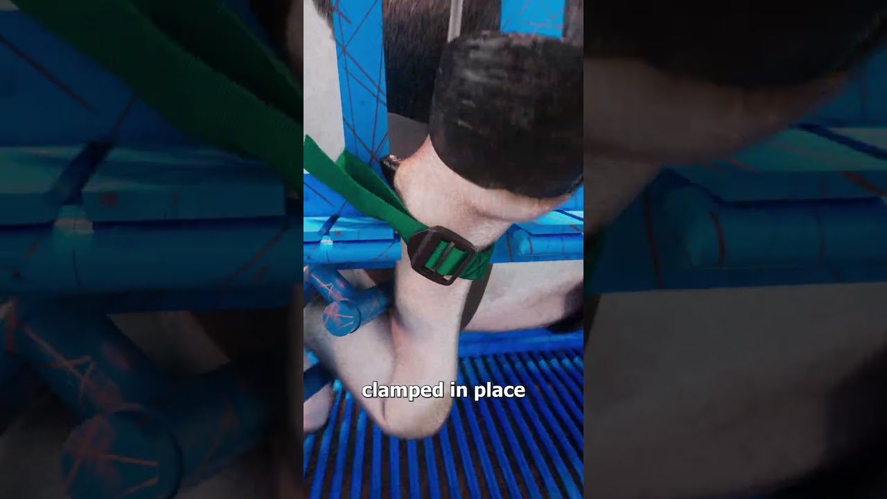 How They Fix A Cow's Injured Hoof 🤔