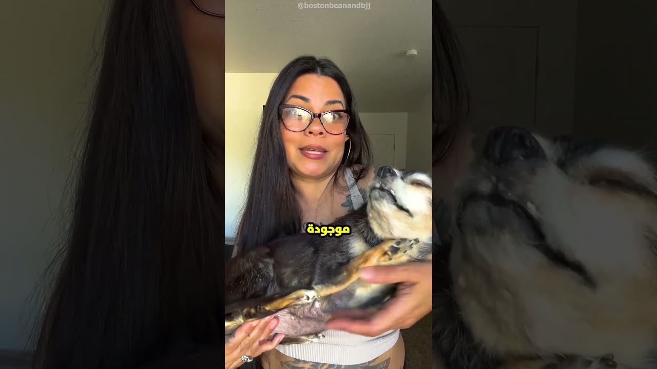 الكلبة دي ماتت من 6 سنين.. بس لسه قاعدة في حضن صاحبتها! 😱🐕