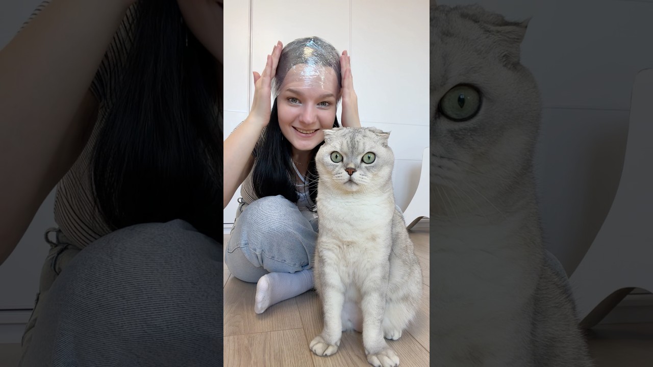 My cat and I are testing the weirdest life hack ever 🤯 #cats #lifehacks #viralhacks #funnycat