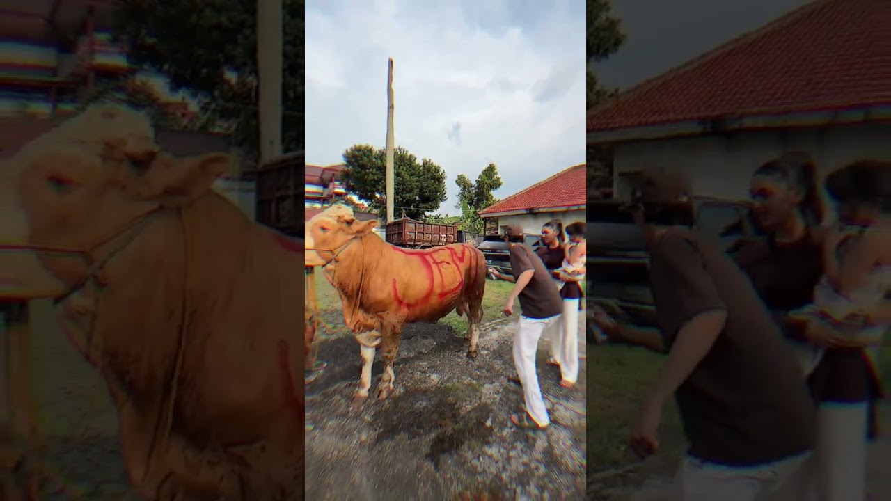 bismillah berkah 🥹