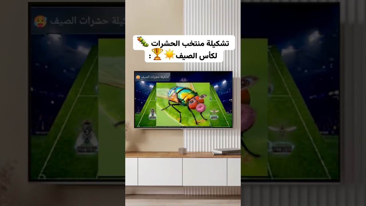 تشكيلة منتخب الحشوات!!