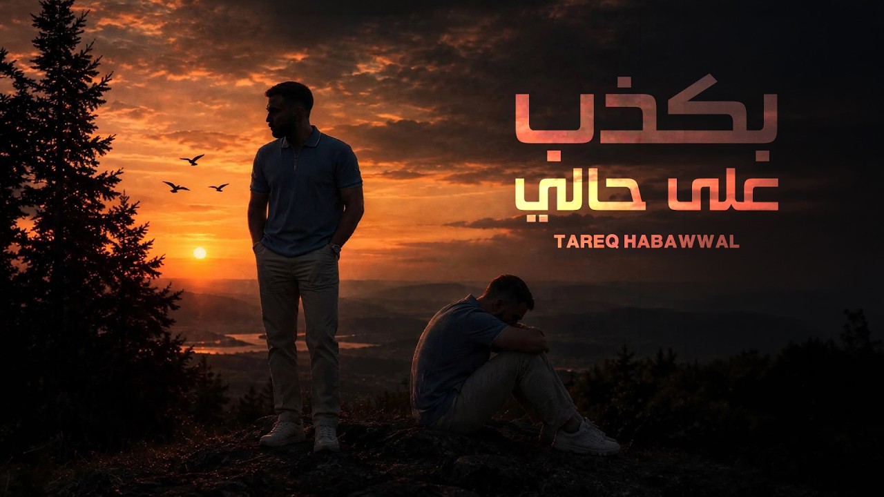Tareq Habawwal (Official Audio) | طارق حبول - بكذب على حالي
