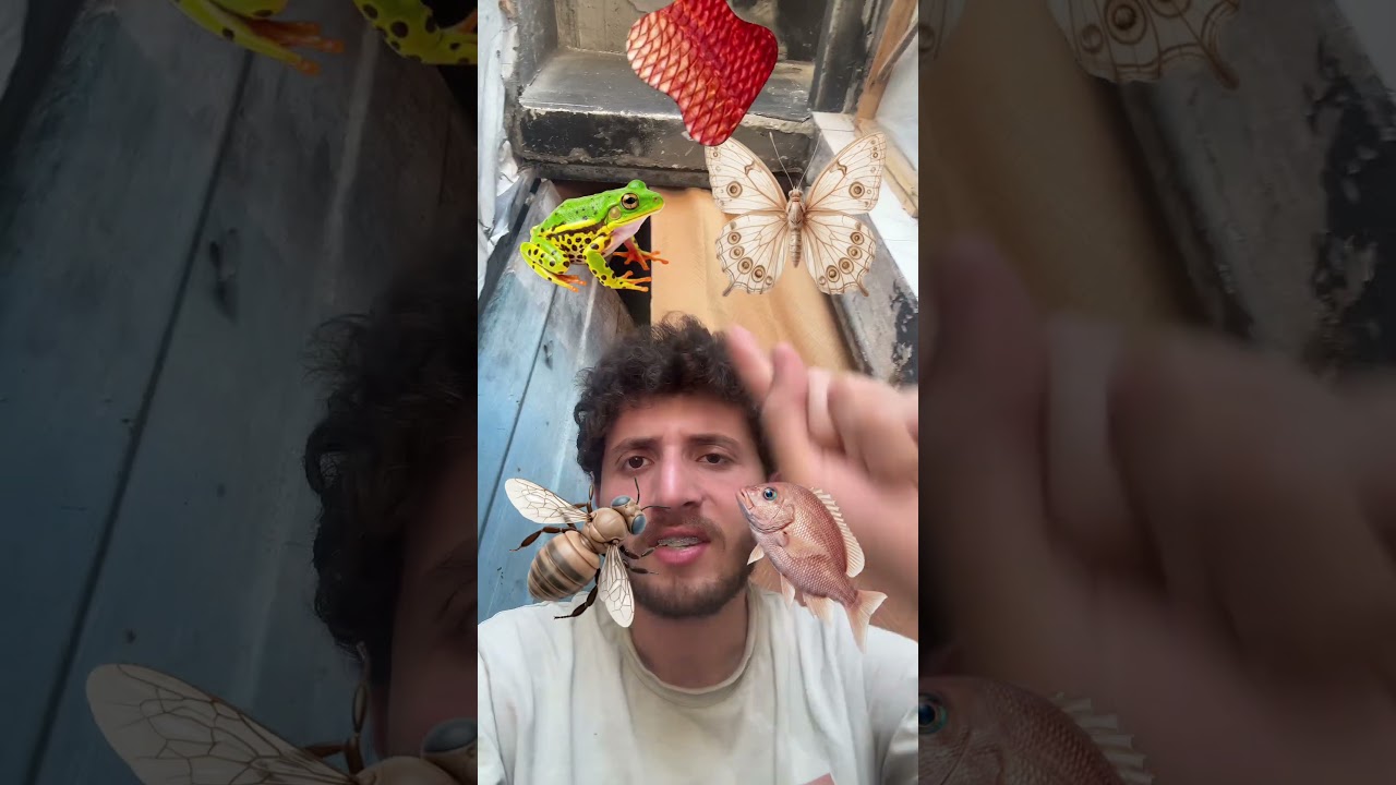 فلتر تلبيس الحيوانات !!