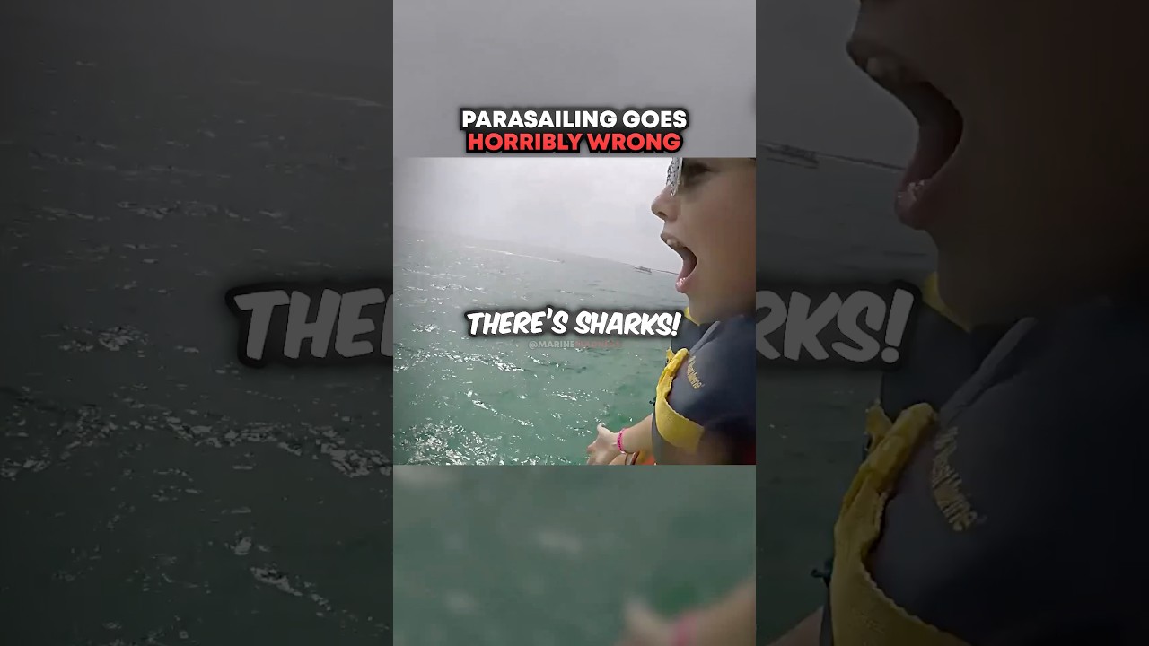 Parasailing Goes HORRIBLY Wrong 😳