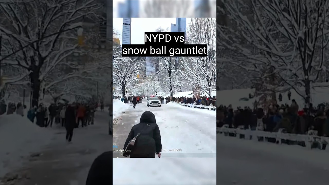 New Yorkers vs NYPD snowball Gauntlet 😆💀 #shorts #nyc #snow #nypd - Published by DinomiteTwins IRL