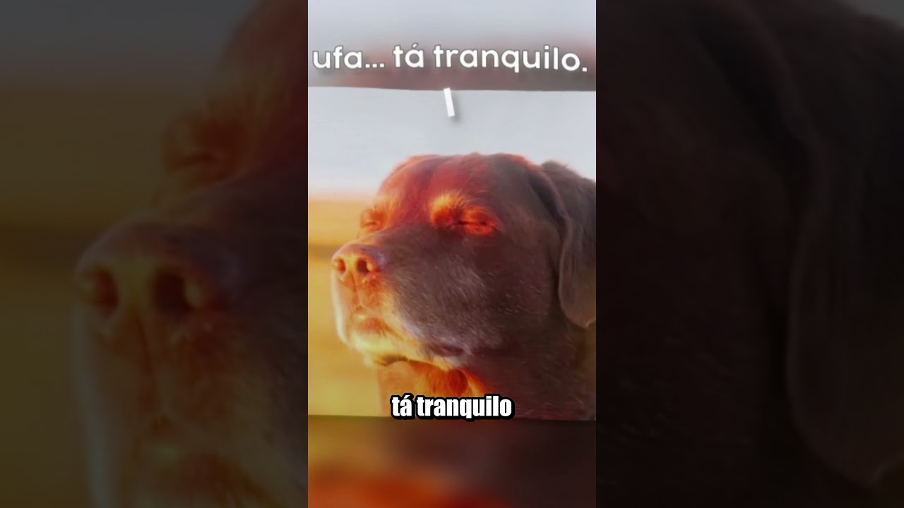 COMO VER MENSAGEM APAGADA NO ZAP? (O JEITO SECRETO)