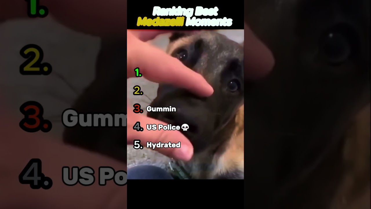 DON'T CHECK THE SOUND PLS!💀          #animals #funny #memes - Published by Petflix