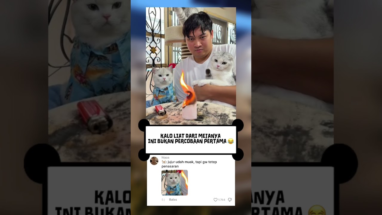 se frekuensi banget nih penasaran nya 😂 - cat hub #shorts