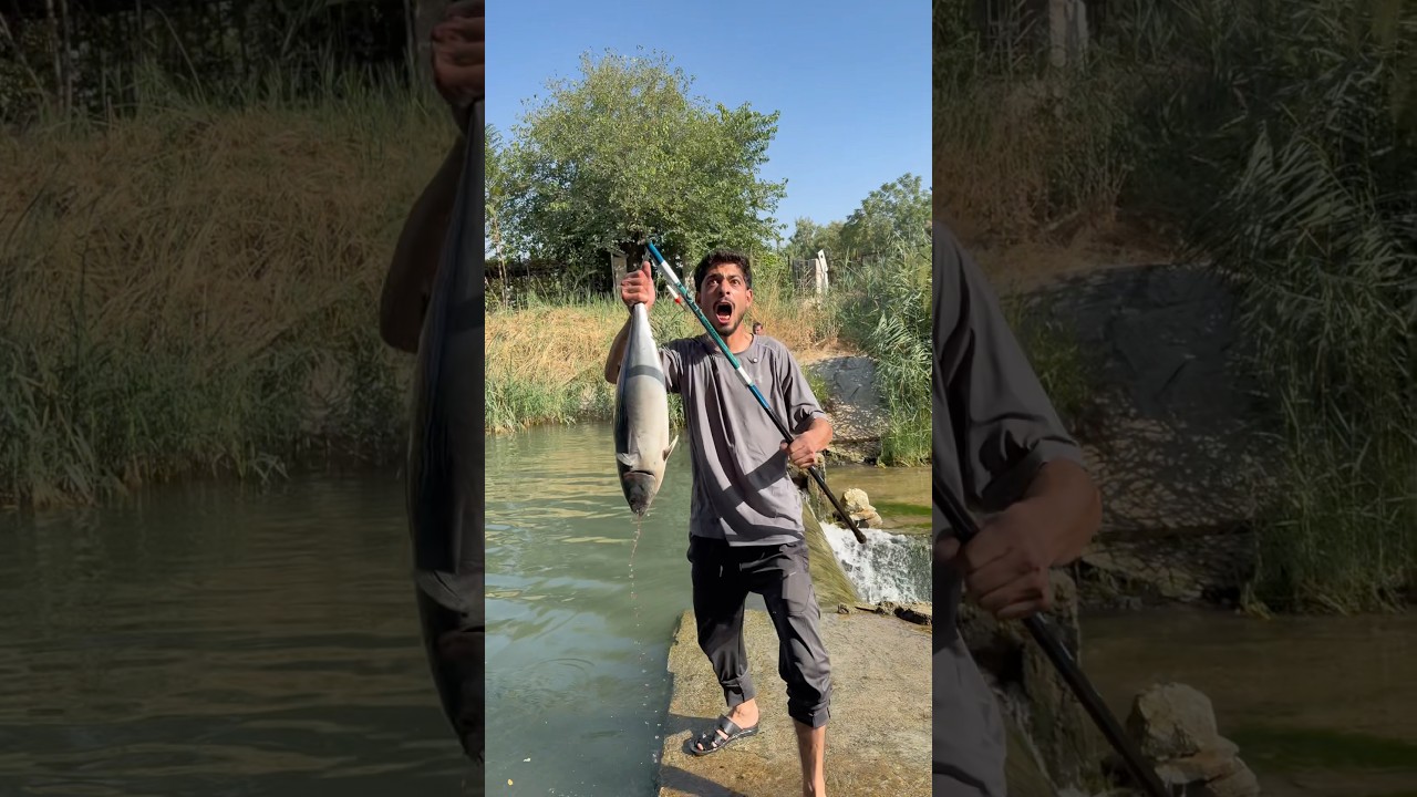 ‏ اسدضت سمكة كبيرة سمكة كبيرة 🐟نهاية غير متوقعة😂
