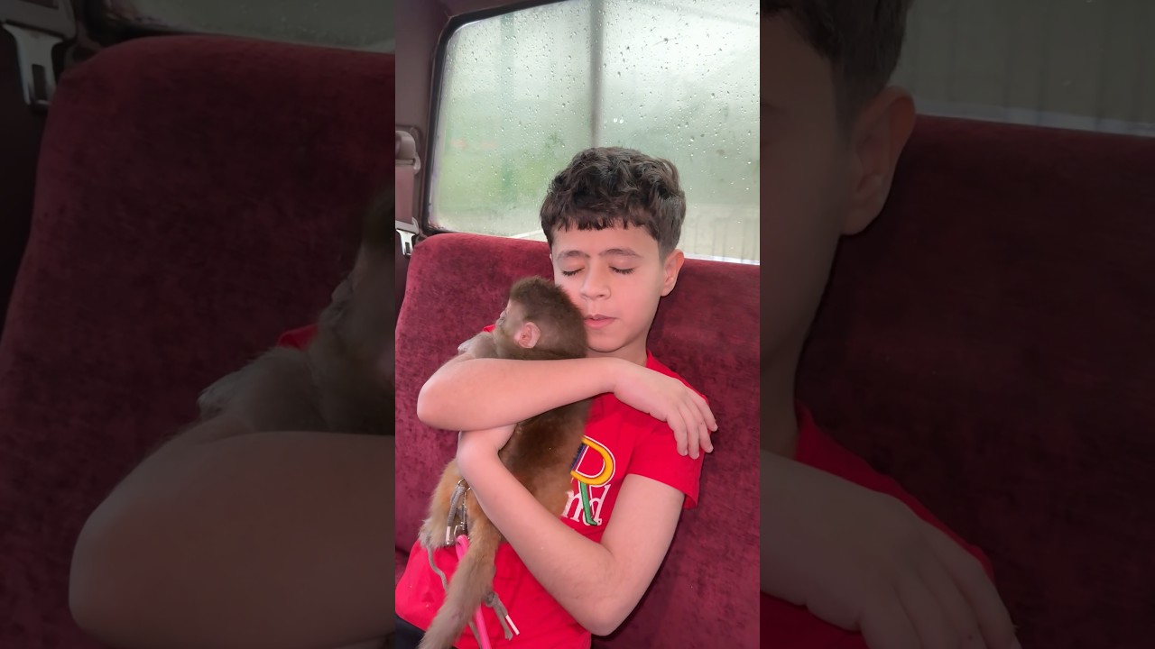 بلونه والقرد بالسيارة 🐒☺️