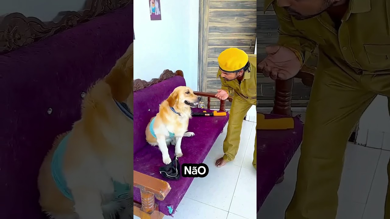 Não Tenho Medo Disso