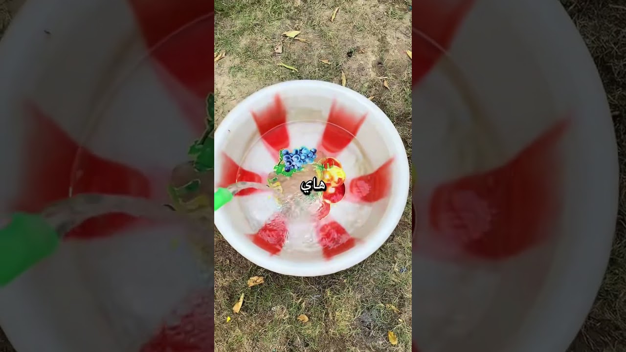 كعدت صبح لكيت بطة بل بيت 😂 اذا تحبون هيج فيديوهات تابعوني 🥹🫧☺️✨🏠