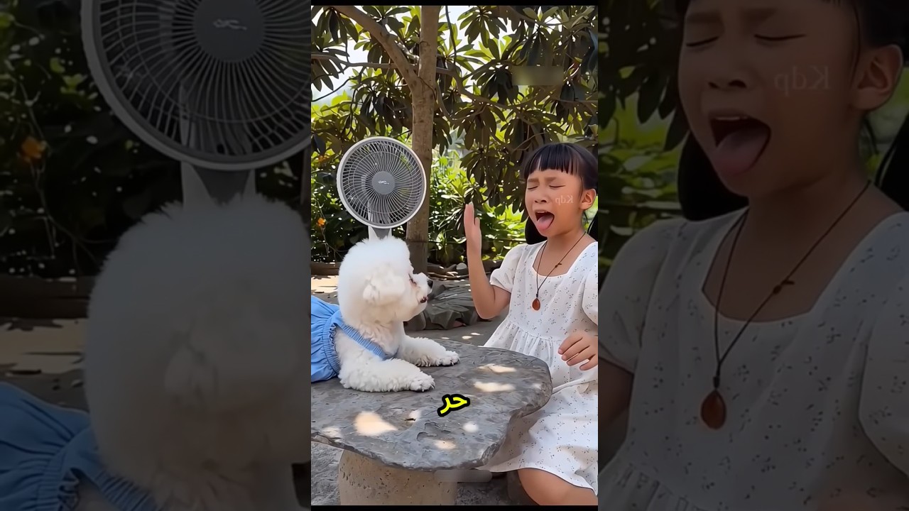 ينهار، الجو حر أوي النهارده🥵😮🔥