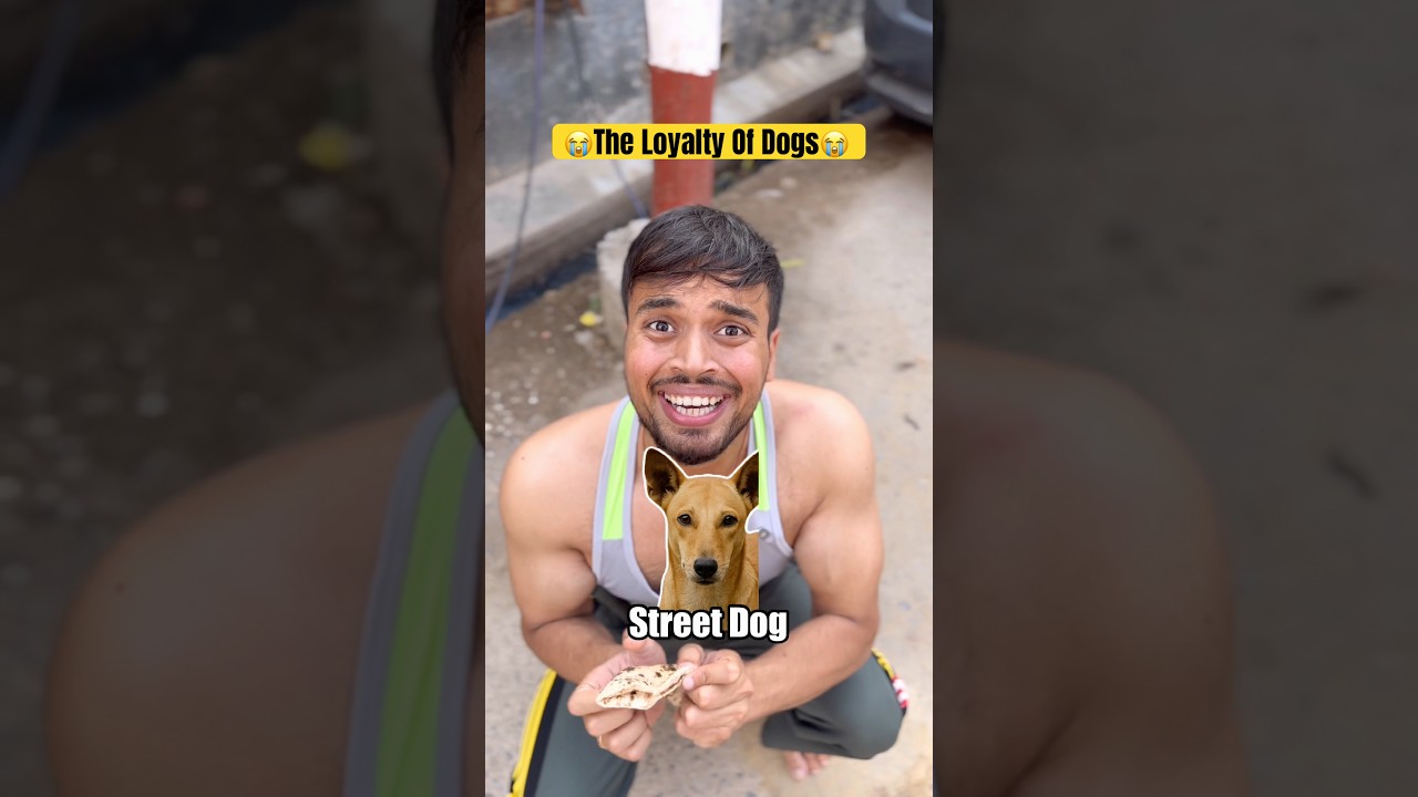 The loyalty of dogs😭😭 #shorts #trending #dog #dogs