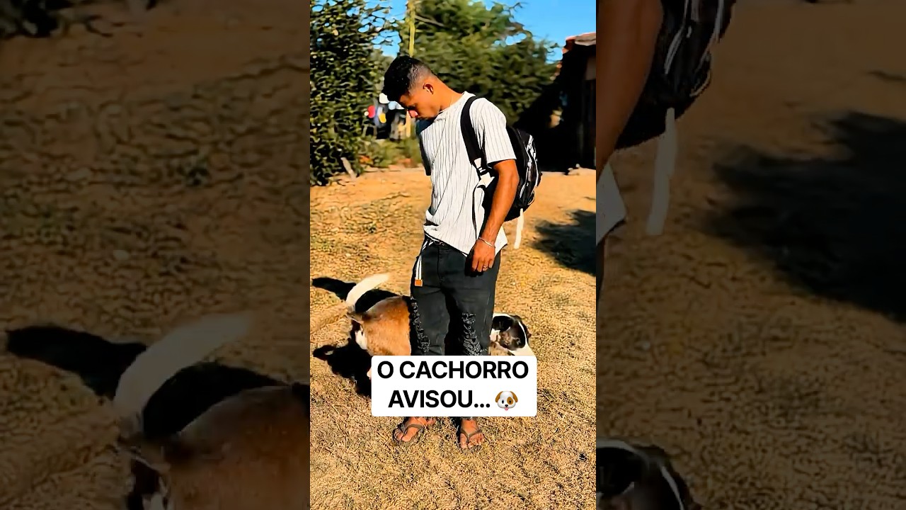 O CACHORRO AVISOU…🐶