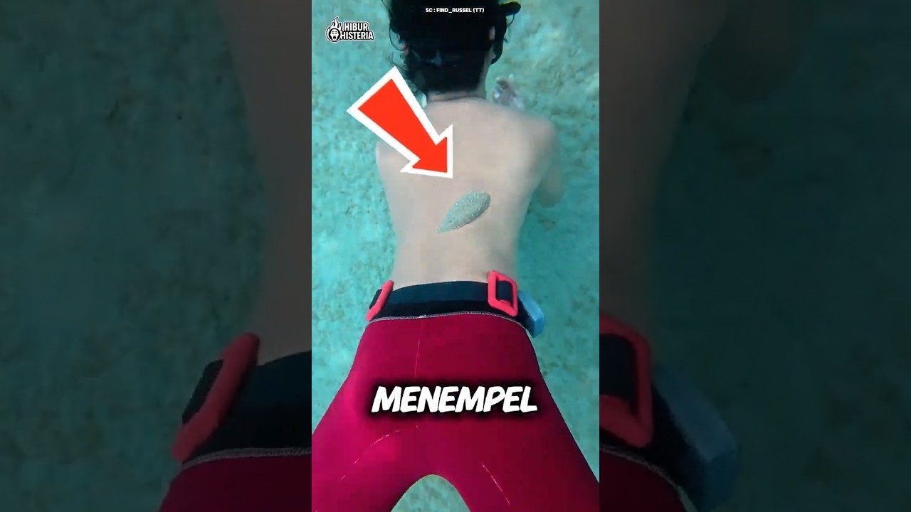 Kenapa Ikan Ini Susah Lepas?