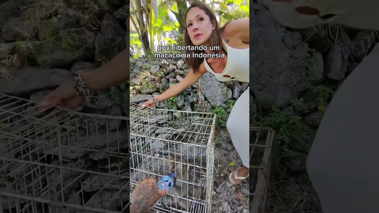 Libertando um macaco na Indonésia.🐒😭 #nathaliavalente