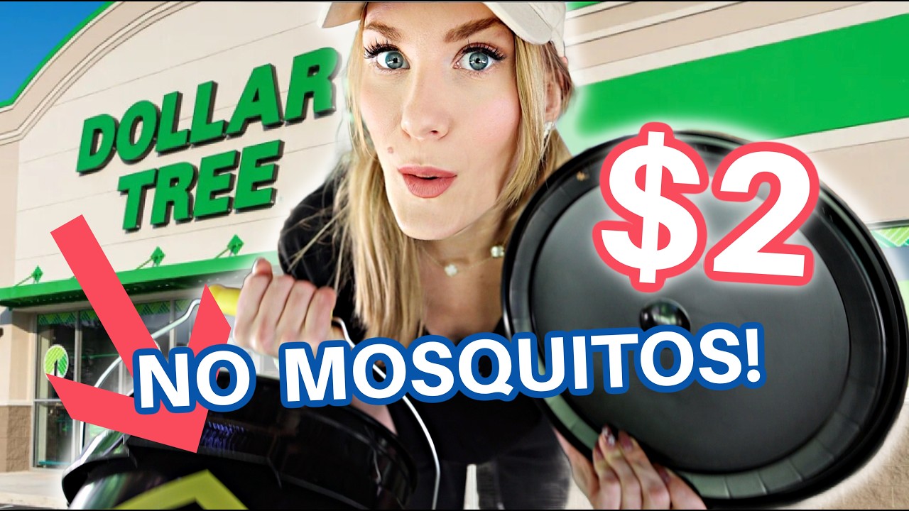 6 Dollar Tree Summer Hacks That Are Scandalously Good! 👀 🔥