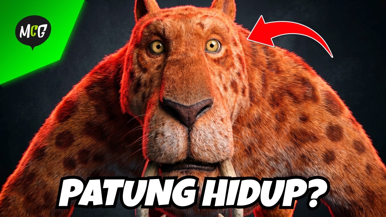 Patung Museum Hidup di Malam Hari!