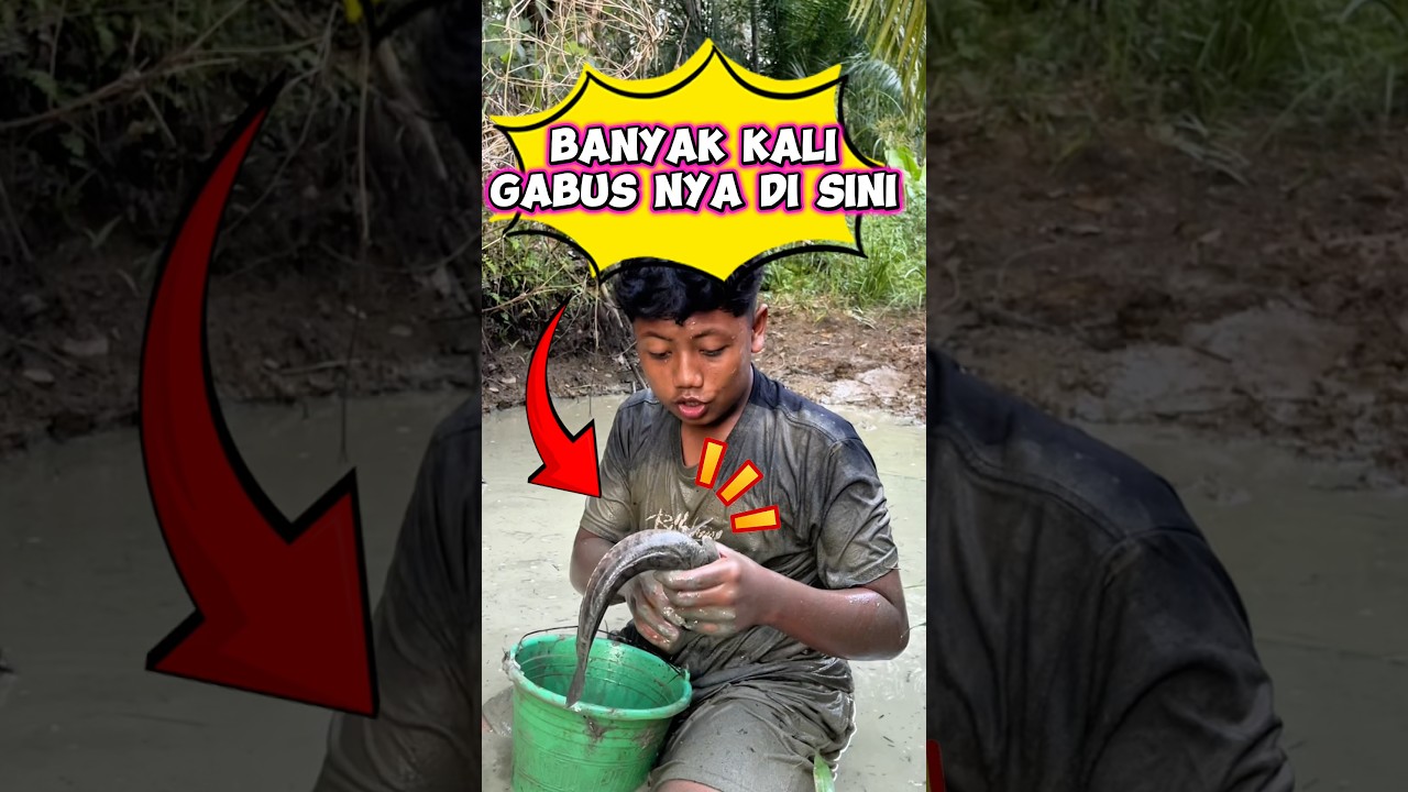Banyak kali gabus nya di sini #videolucu #wakmi #sketsakomedi #ikangabus #ngebolang #funny