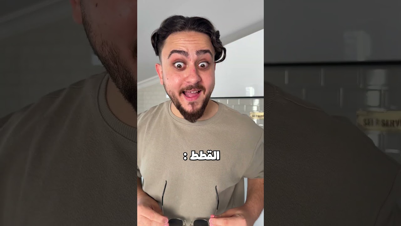 الفرق بين الكلاب والقطط😂 #mrkingo #قطوس