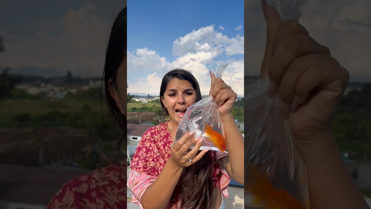O SAQUINHO DO MEU PEIXE FUROU 😰