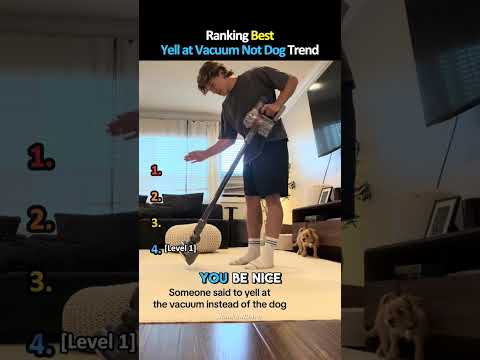 Ranking Yell at Vaccum Not Dog Trend Moments