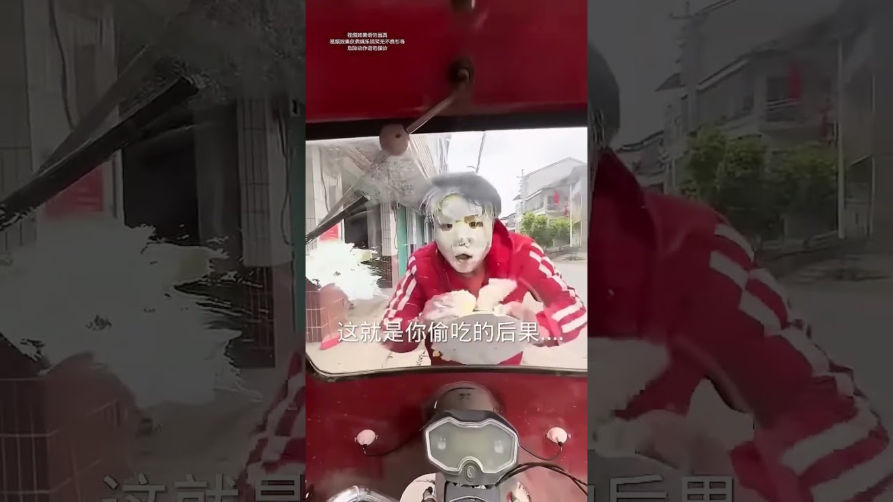 ¿Por qué este perro roba mi comida todos los días? _ #VideosDivertidos