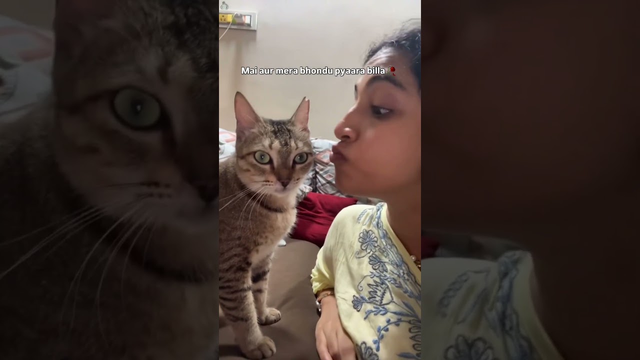 Kaun kehta hai billiya affectionate nahi hoti?🥹❤️