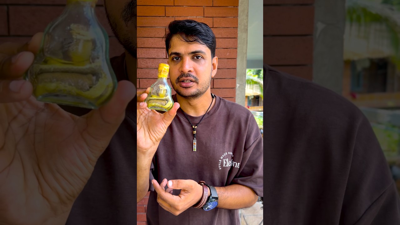 പാമ്പിനെ ഇട്ട്‌ വീര്യം കൂട്ടിയ മദ്യം | Snake whiskey