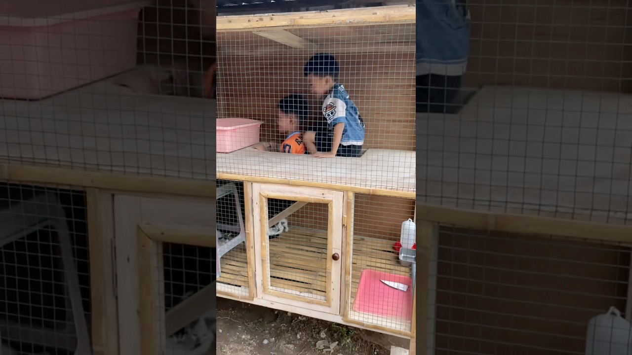 Kerjain Aijaz dan Eren karena gak mau keluar dari kandang kucing