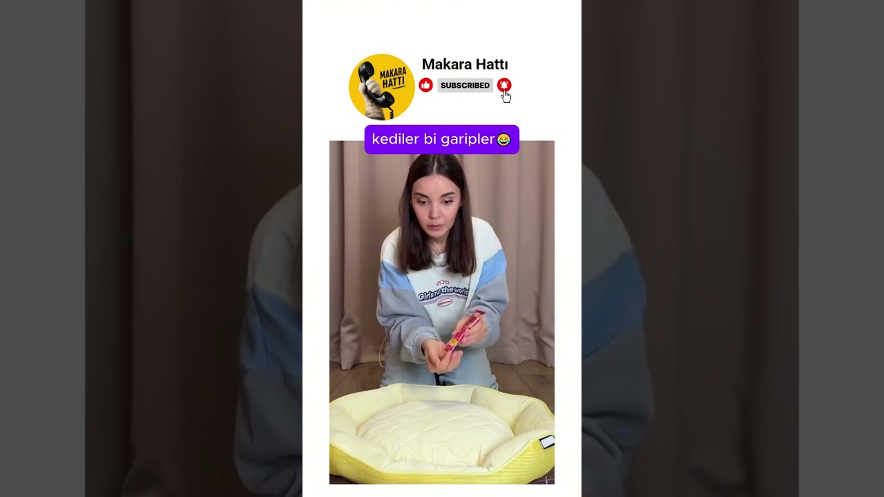 kediler değişik huylu canlılar 😂