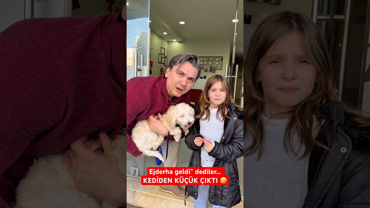 Ejderha geldi” dediler… KEDİDEN KÜÇÜK ÇIKTI 🤣 #shorts #komedi #komik #viral #keşfet #viralvideo
