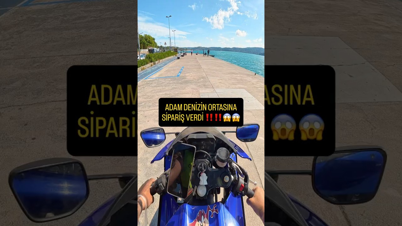 #helmet #automobile #cat #kedi #memes #smartphone #gopro #motovlog #chat #animals