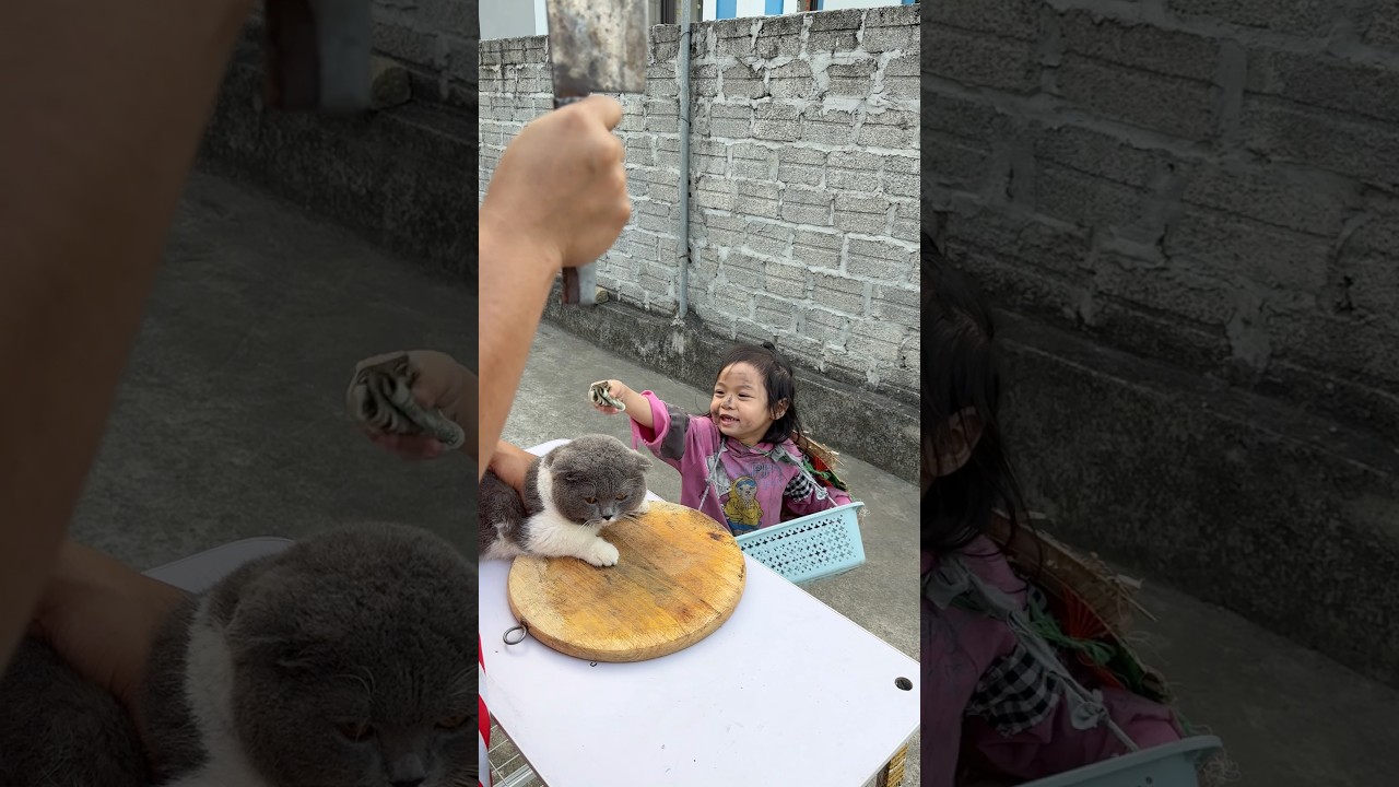 The poor boy tried to save the cat from death.