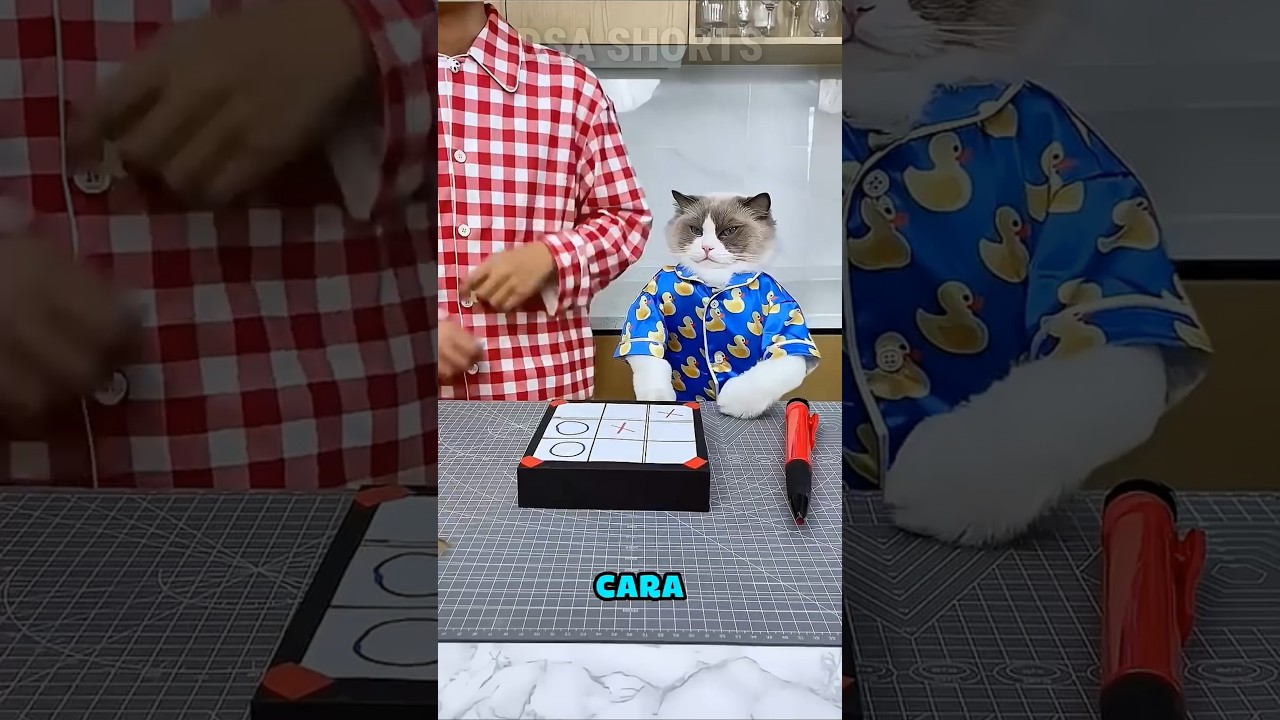 Ela trapaceou… e o gato se vingou