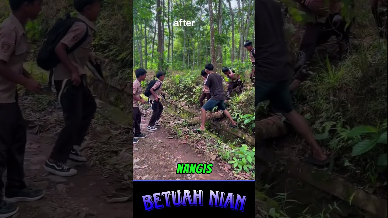 panen sengatan tawon hasil dari kegabutan yang menghasilkan air mata