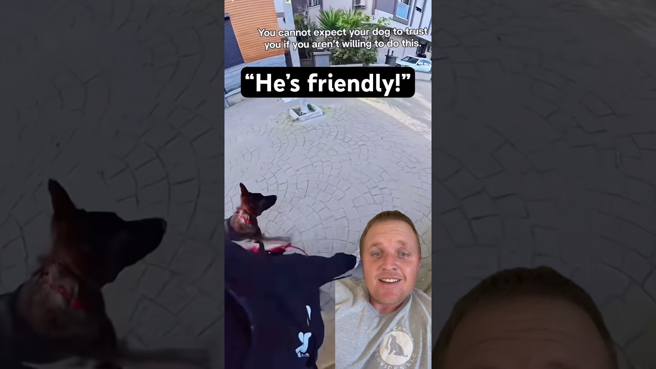 Every Dog Owner Has Heard This Before