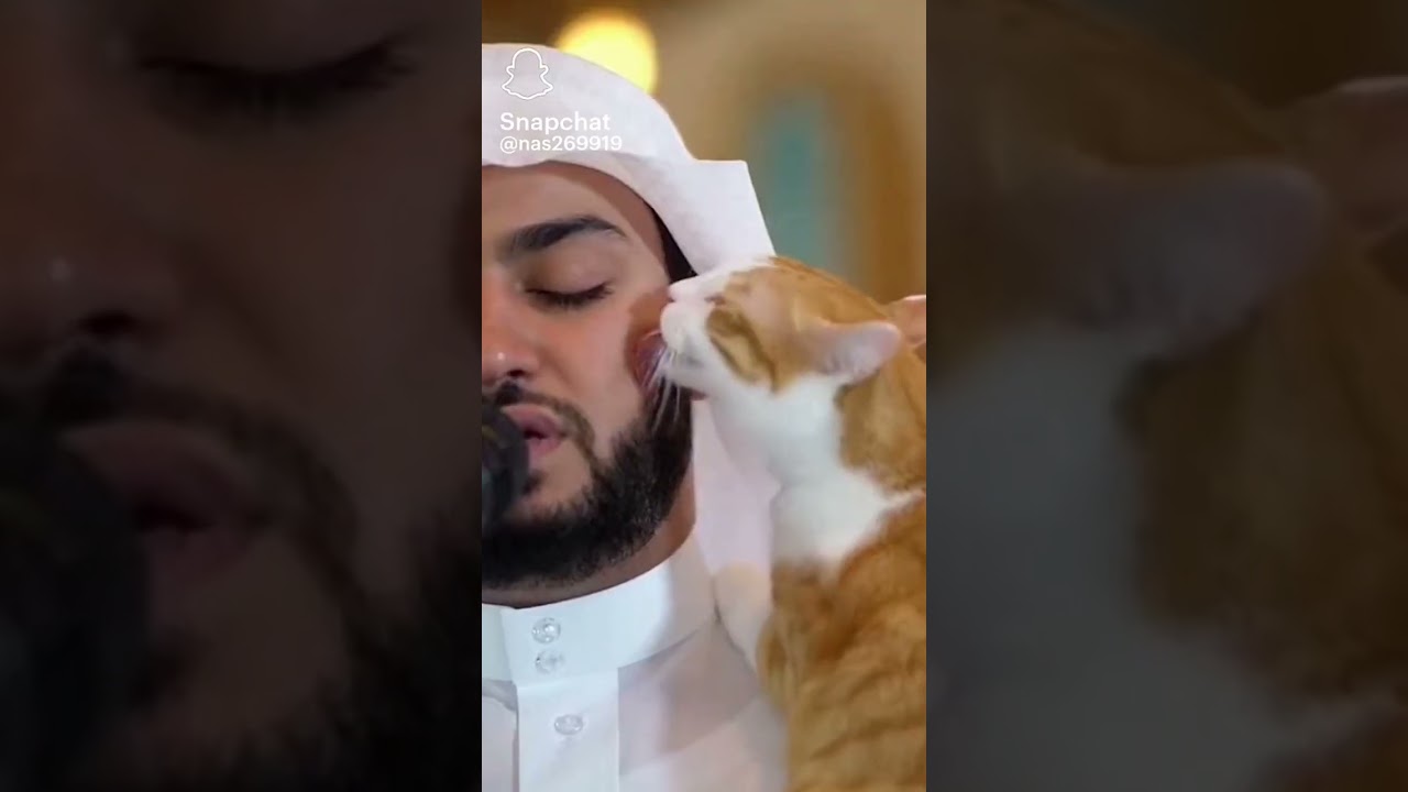 ١٩ مايو ٢٠٢٦