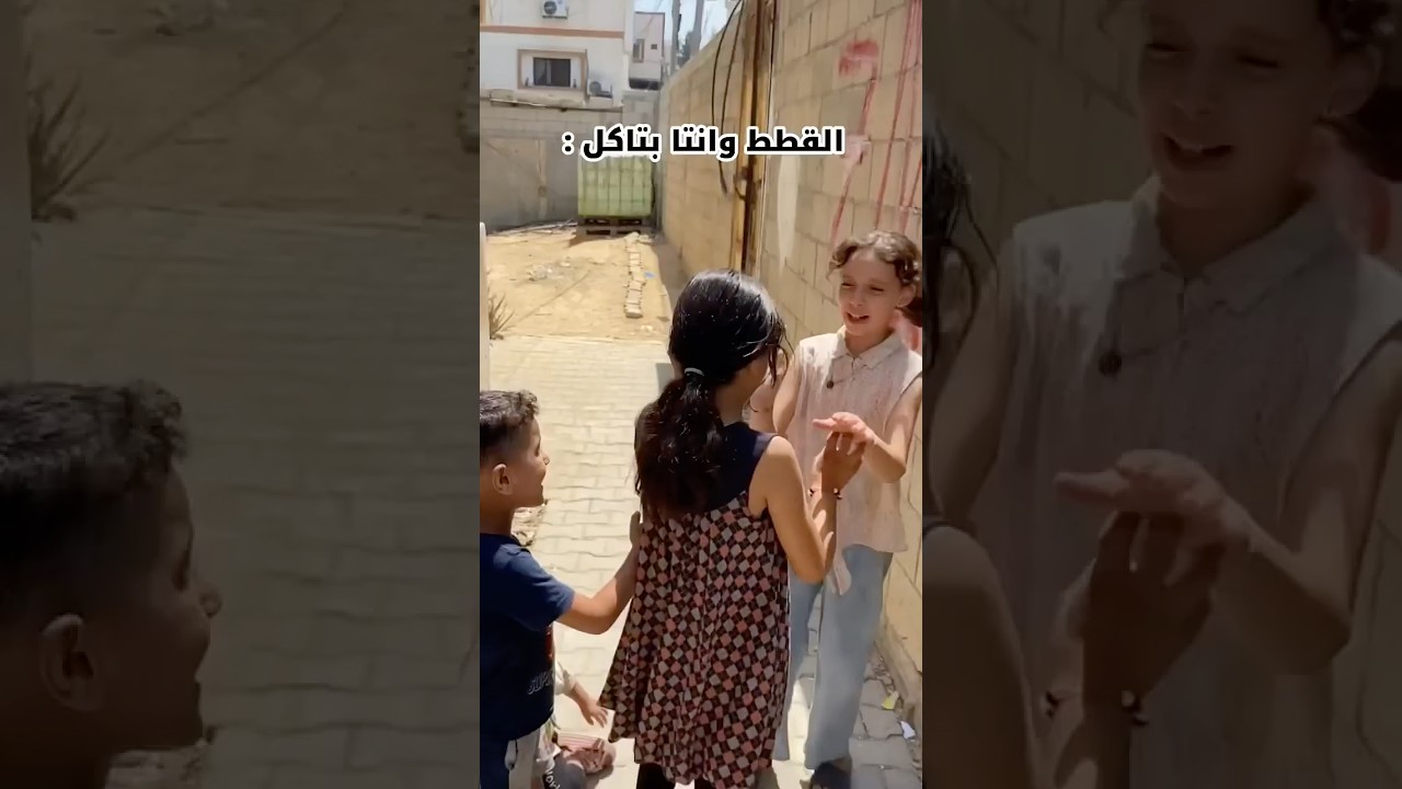 القطط وانتا بتاكل !؟