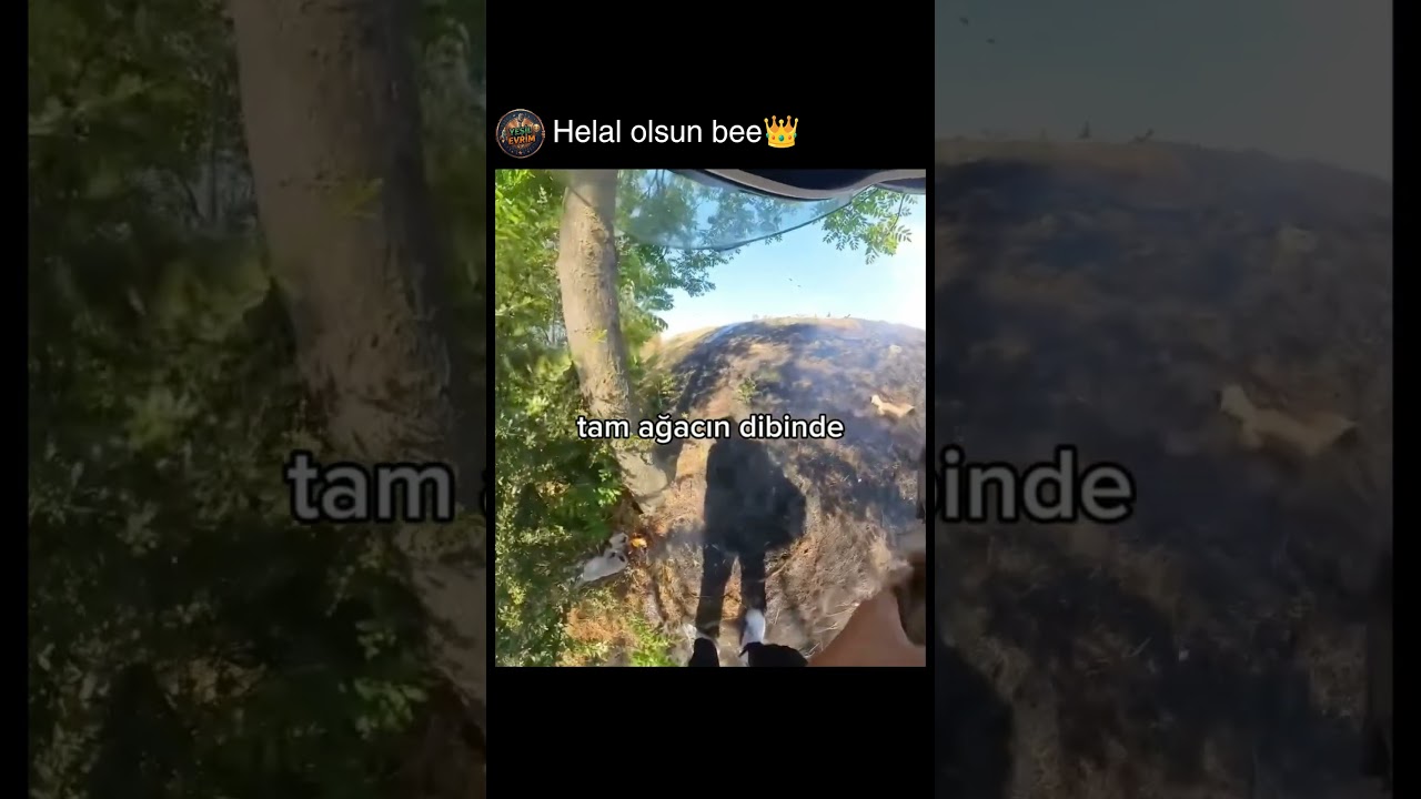 iyi ki böyle insanlar var @calmriderr