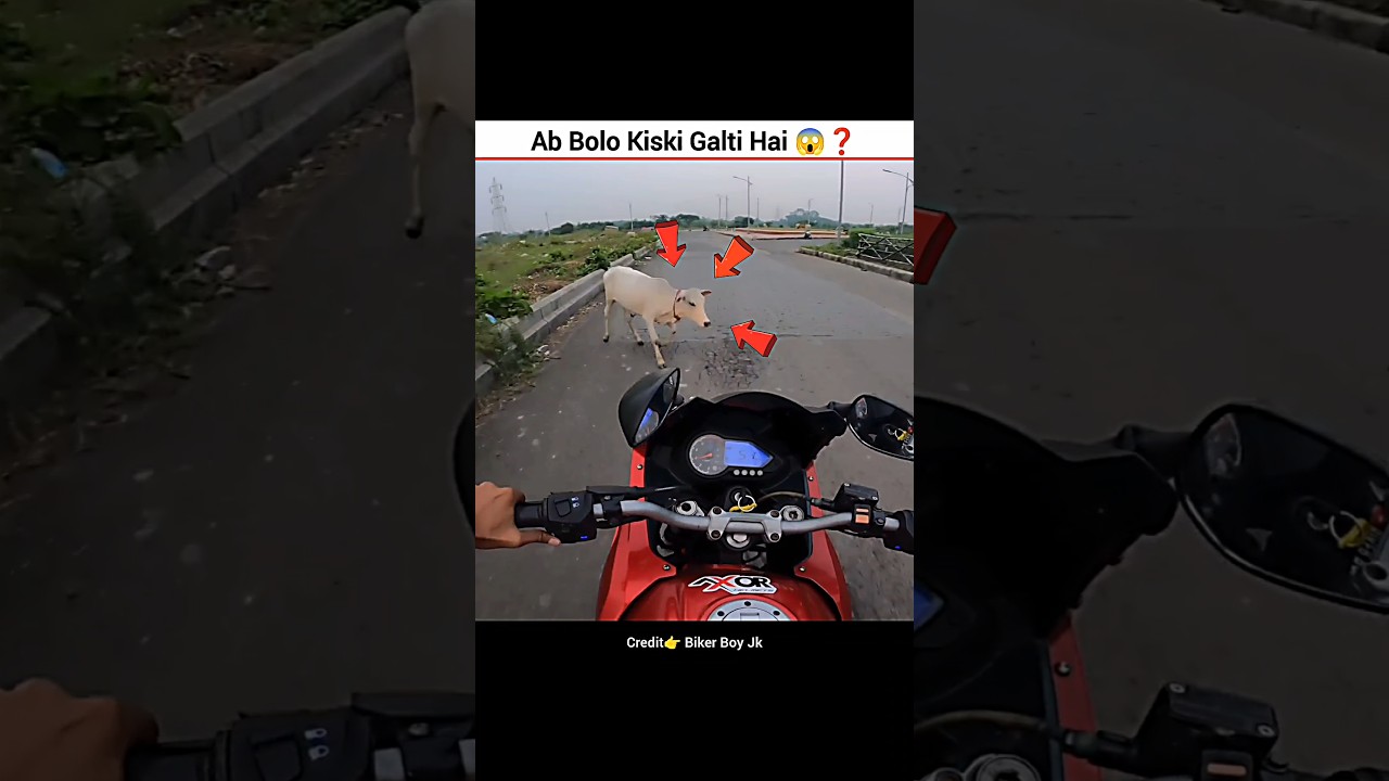 Please Pray For Cow 🥺