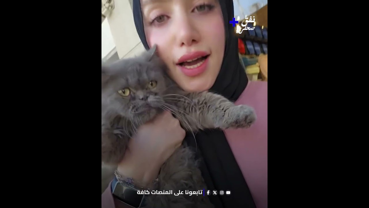 رمتها الحامل عند باب العيادة وسألت عنها! 😿💔 تصرف غير مسؤول يفجر غضب صاحبة عيادة قطط