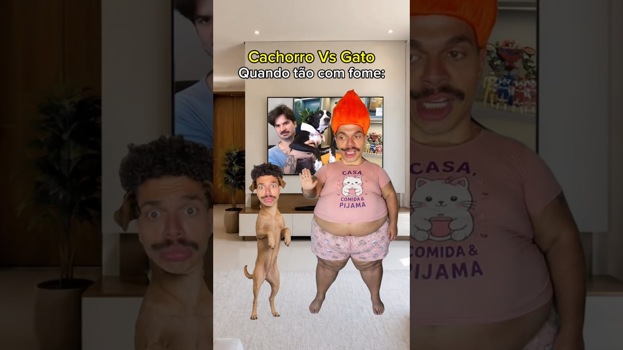 Cachorro Vs Gato com fome